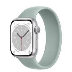 Apple Watch Series 8 41 mm Silver - фото 13176