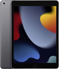 Apple iPad 2021 Wi-Fi 64Gb Space Gray - фото 13221