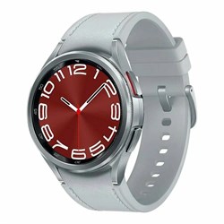 Часы Samsung Galaxy Watch6 Classic 47mm Silver - фото 19792