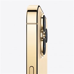 Купить Телефон Apple iPhone 13 Pro Max 256Gb (Gold) в Ставрополе