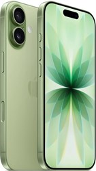 iPhone 17 256 Гб Sage (Шалфейно-зелёный) 6267