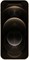 iPhone 12 Pro Max 256 Гб (Gold) 2270