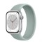 Apple Watch Series 8 41 mm Silver - фото 13176