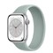 Apple Watch Series 8 45 mm Silver - фото 13177