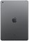 Apple iPad 2021 Wi-Fi 64Gb Space Gray 5176