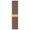 Apple Watch Series 10 (GPS+Cellular) 46 mm Gold Titanium Case with Gold Milanese Loop (Титановый) 5958 - фото 20961 Apple Watch Series 10 (GPS+Cellular) 46 mm Gold Titanium Case with Gold Milanese Loop (Титановый) 5958 - фото 20961