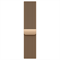 Apple Watch Series 10 (GPS+Cellular) 42 mm Gold Titanium Case with Gold Milanese Loop (Титановый) 5959