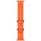 Apple Watch Ultra 2 GPS + Cellular, 49 мм, корпус из титана, ремешок Ocean оранжевого цвета 6227