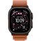 Apple Watch Ultra 3 49 mm Black Alpine Loop Terra Cotta 6342