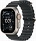 Apple Watch Ultra 3 49 mm Natural Ocean Band Black 6345 - фото 24398