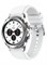 Часы Samsung Galaxy Watch4 Classic 42mm Silver - фото 8038