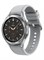 Часы Samsung Galaxy Watch4 Classic 46mm Silver - фото 8450